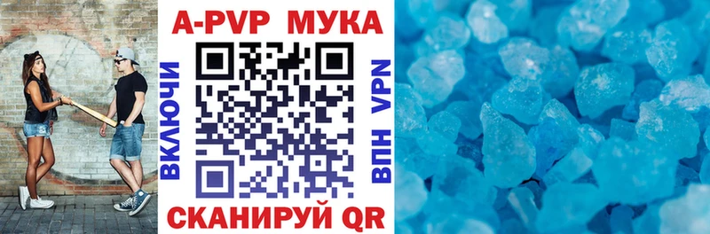 МЕФ Новая Ладога