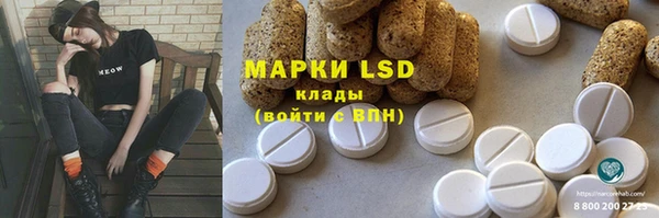 тгк Каменка