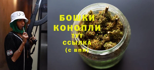 тгк Каменка