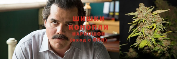 МДПВ Каменногорск