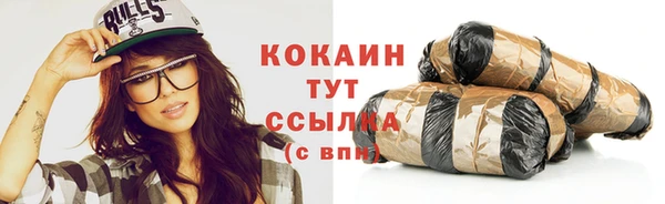 МДПВ Каменногорск