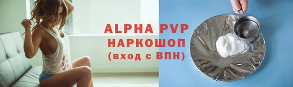 МДПВ Каменногорск