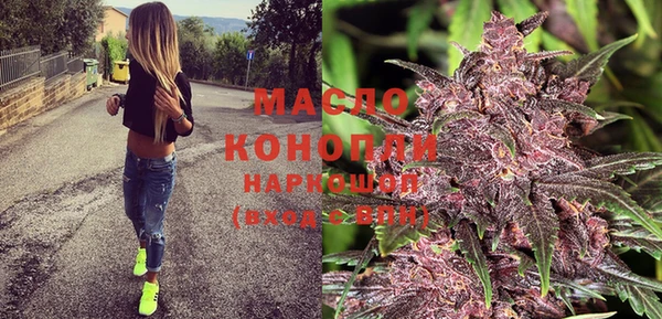 тгк Каменка