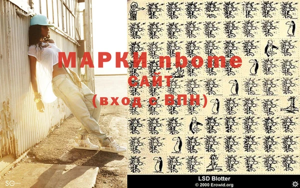 МДПВ Каменногорск