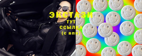 тгк Каменка